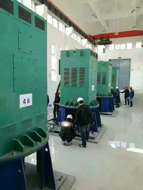 汶川某污水处理厂使用我厂的立式高压电机安装现场
